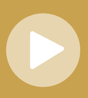 ico-